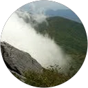 Alison Schuetze profile picture